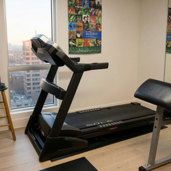 Horizon 3.5 Treadmill Model 2.0 Like New 15 MPH 300 lbs Capacity - New York, NY