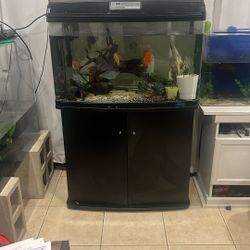 55 Gallon Jebo R390 Acrylic Tank 