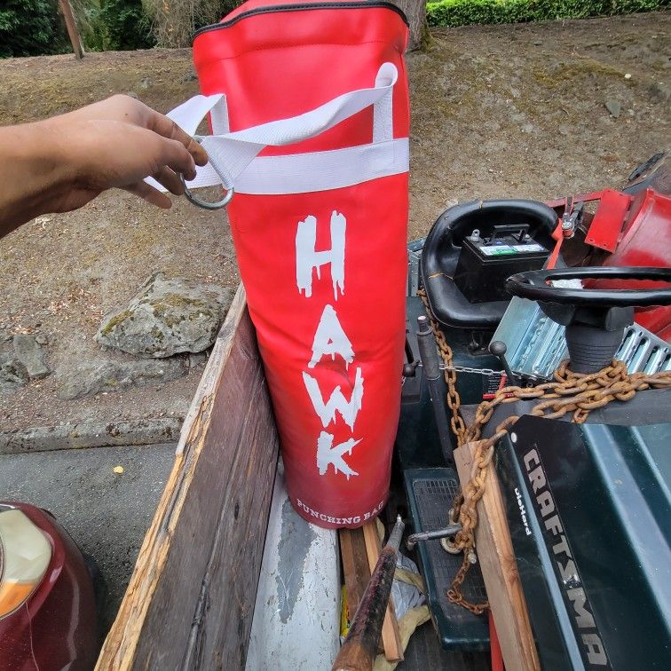 100 Lb Hawk Punching Bag