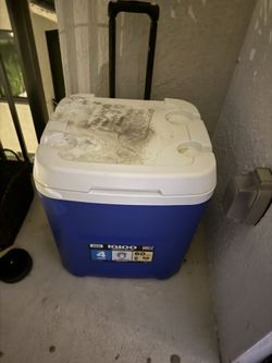 Cooler