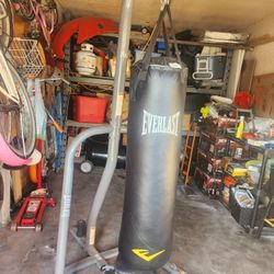 punching bag with stand