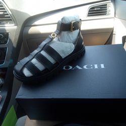 Designer Shoes