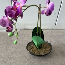 Purple Pink Orchid Flower Decoration With Black Vase