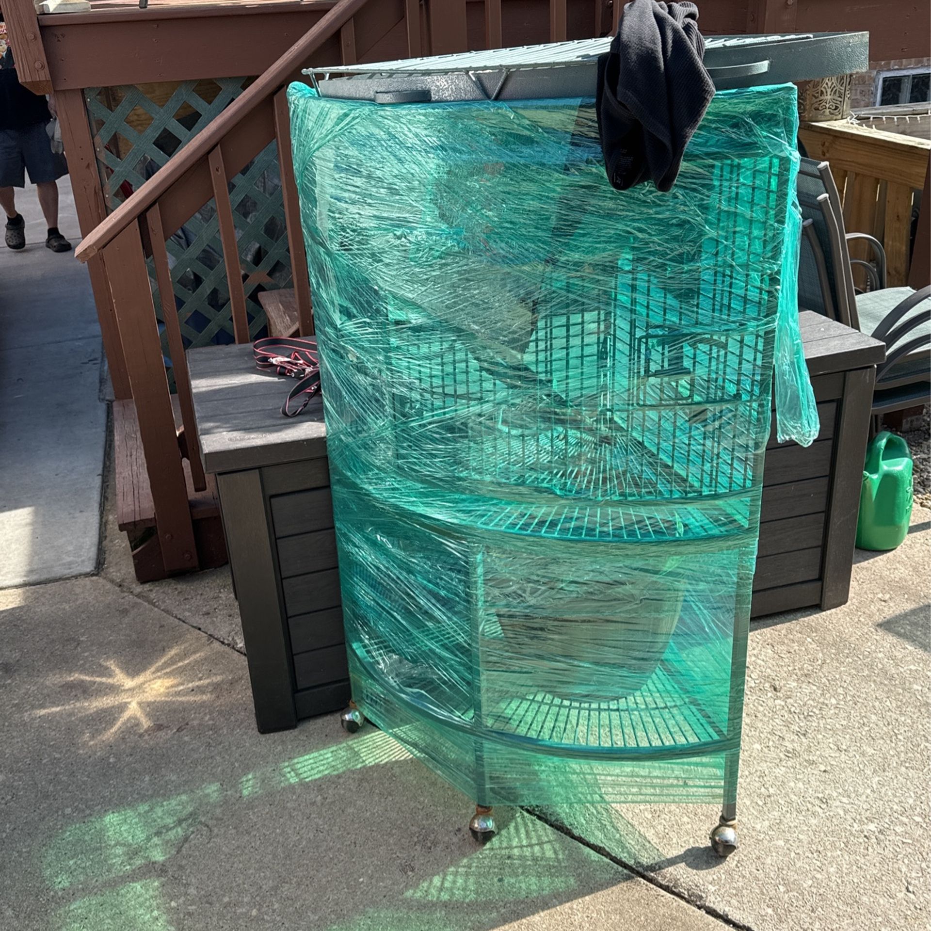 Bird Cage