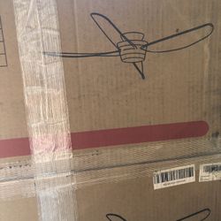 Ceiling Fan