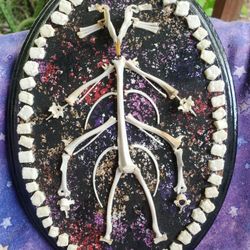 bone art - handmade, wall hanging 