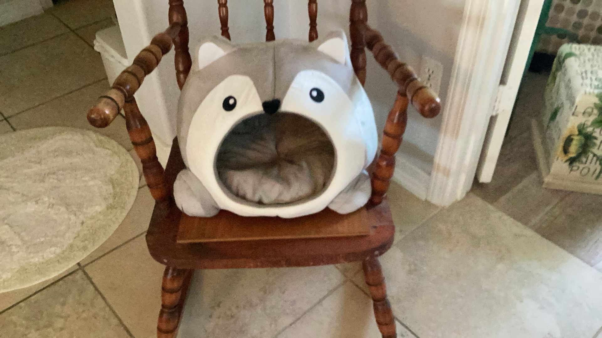 Cat Or Small Dog Bed