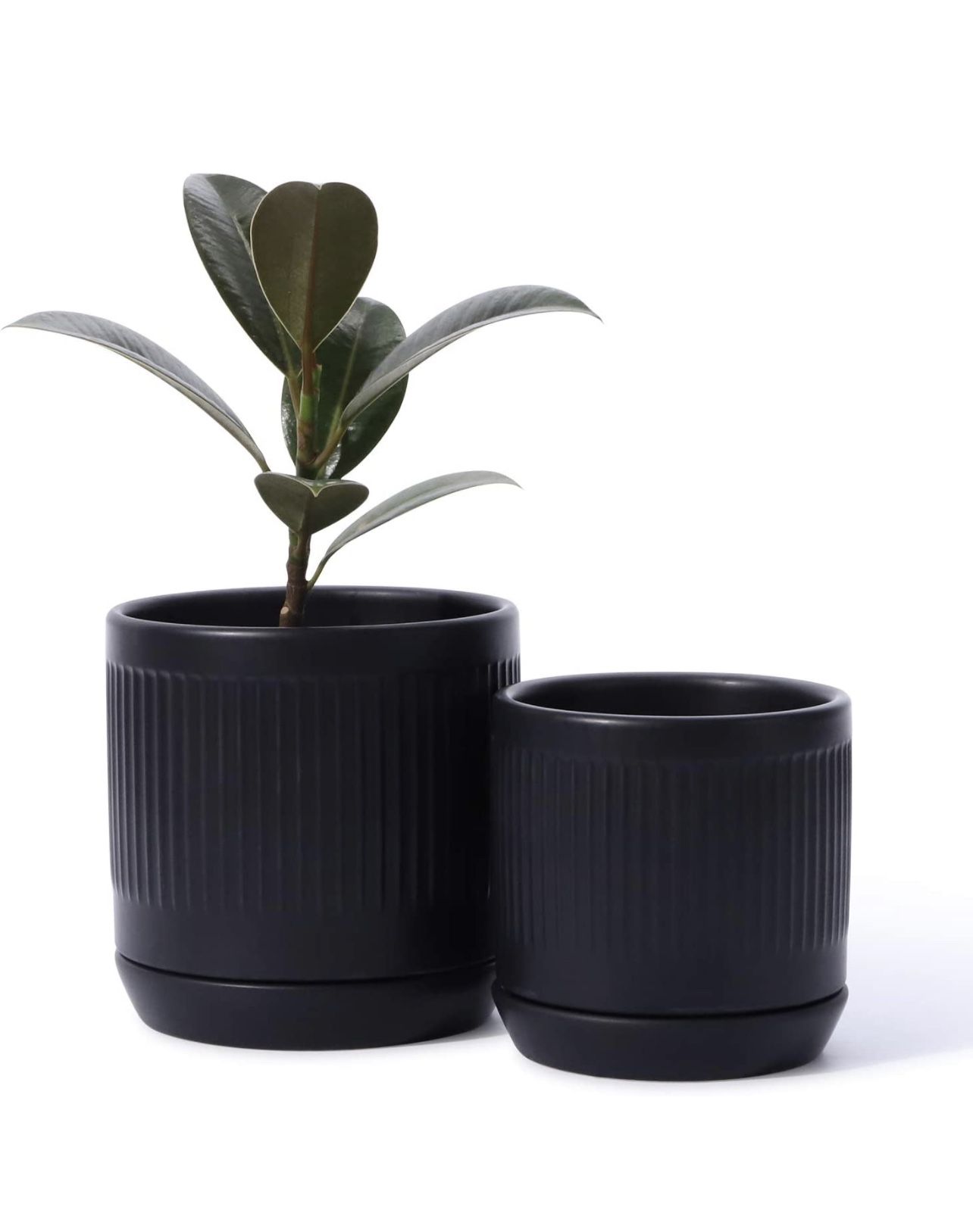 Ceramic Planter Pots | Set of 2