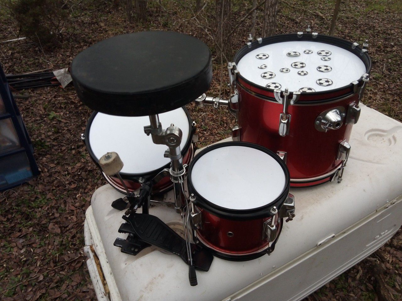 Red drums