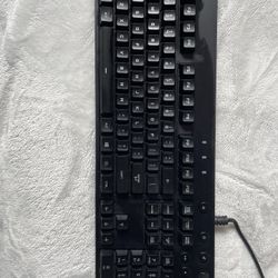 Logitech 100% keyboard 