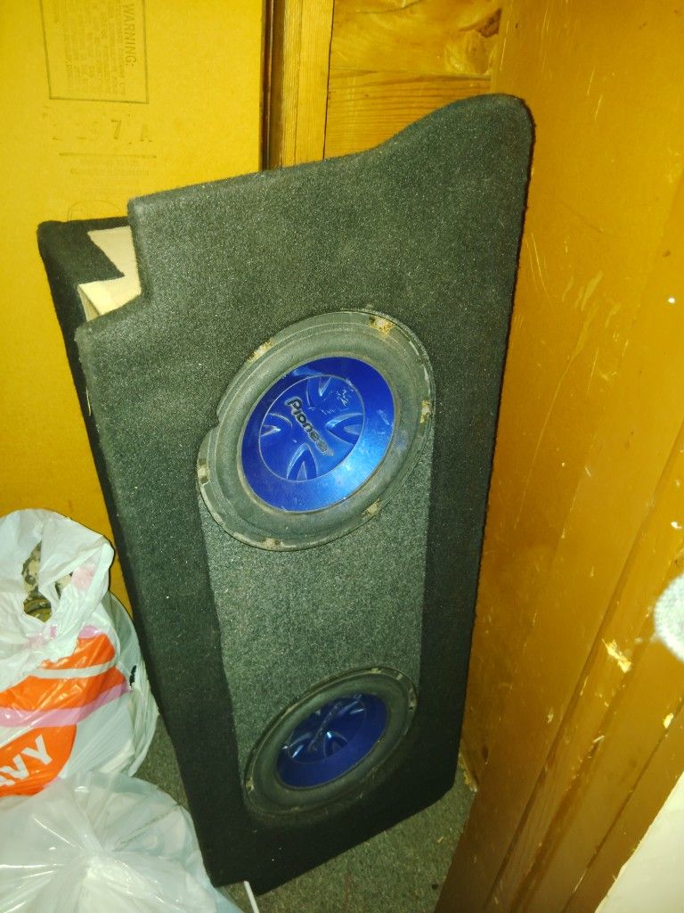 Pioneer Speakers 10"
