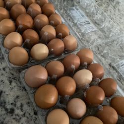 Fresh Farm EGGS