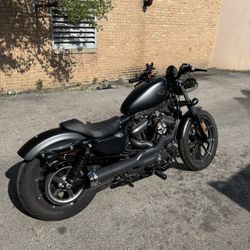 2019 Harley Davidson Iron 883XL