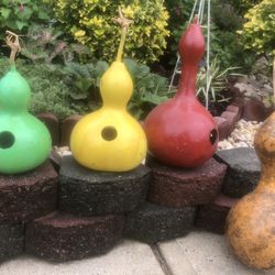 Beautiful Birds Feeder Decor 