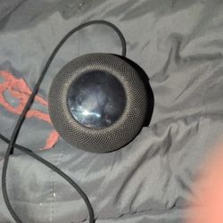 Apple Home Mini