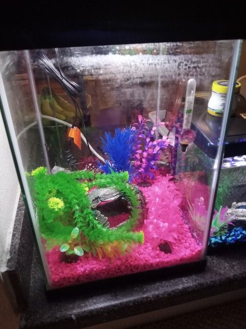 Aquariums