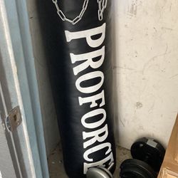 Proforce Punching Bag And 2 Sets Of Weights
