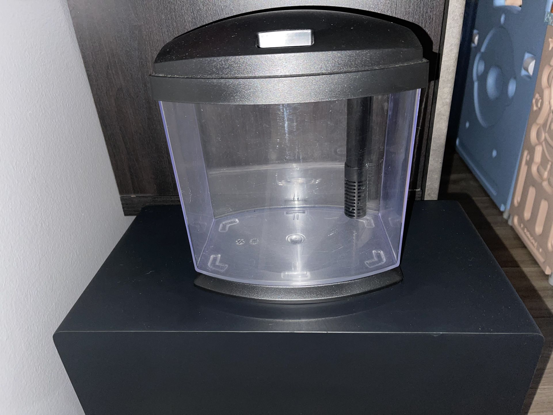 fish tank 1 gallon