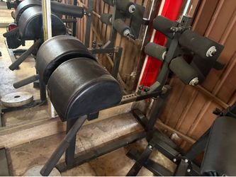GHD Glutes and Hamstring developer