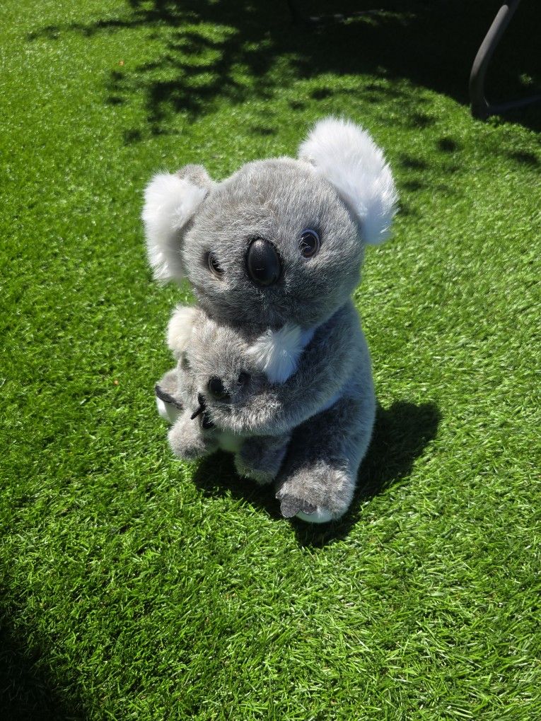 Koala Bear And Baby