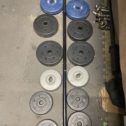 Weight Plates.         20 Dollars 