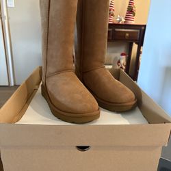 UGG Tall Boots NIB Size 8