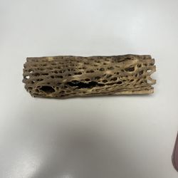 10” Cholla CaveBranch  For Aquarium Terrarium and 