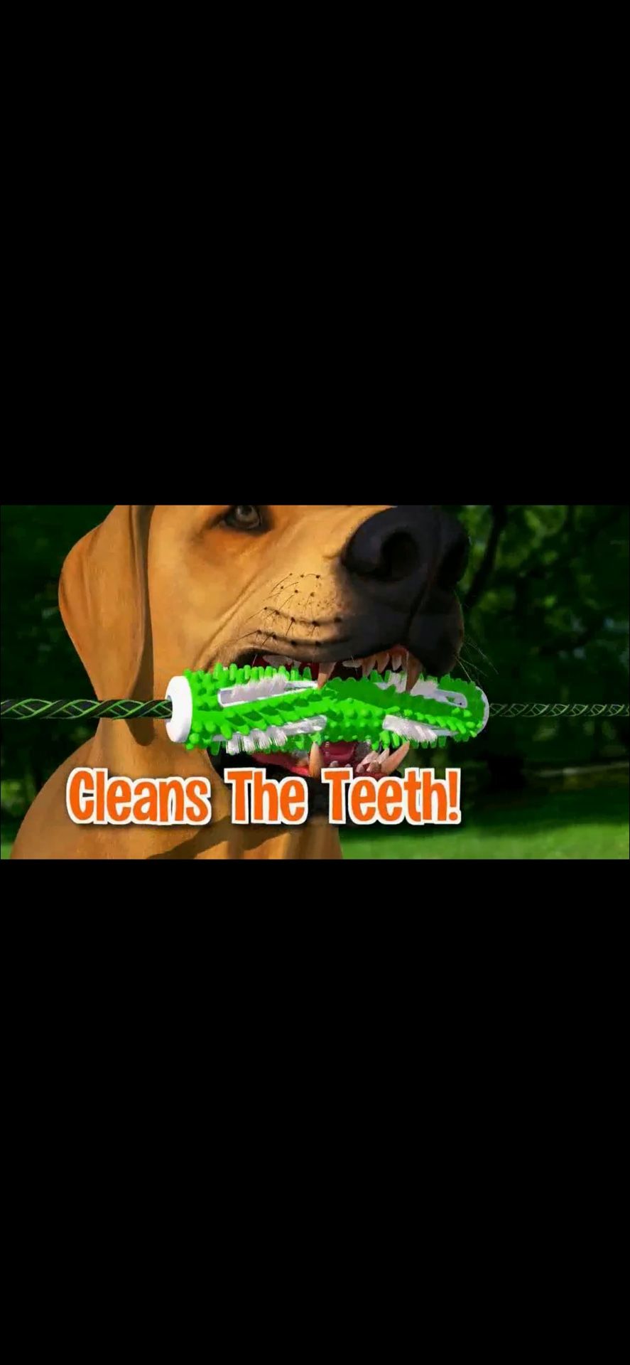 Tug’n’brush Dog Toy/Toothbrush