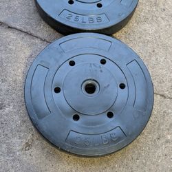 (2) 25 LB weights