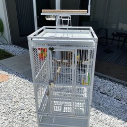 New Parrot Bird Cage With Play top
