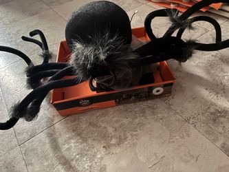 Hyde & EEK Jumping Spider Halloween Decoration