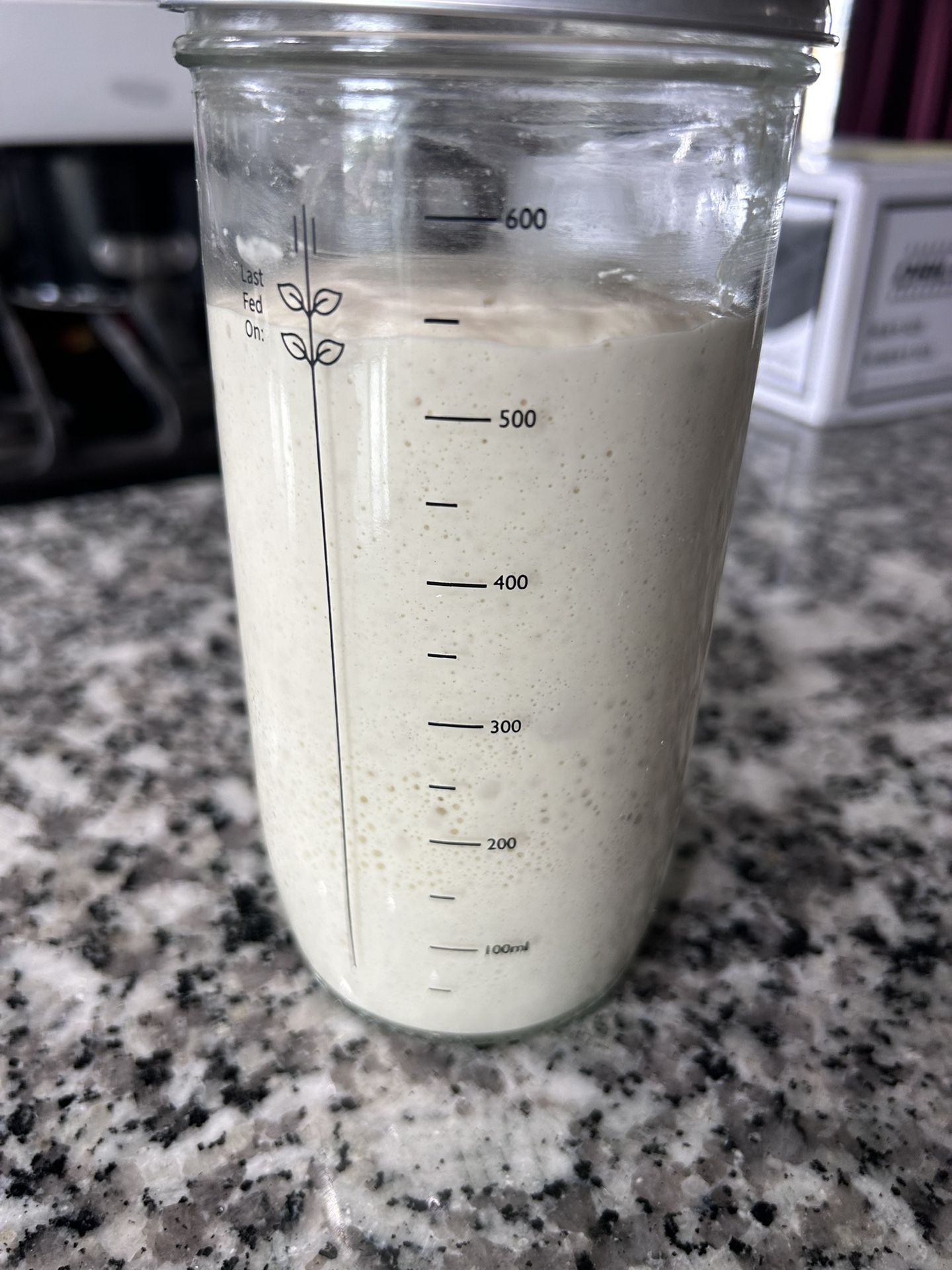 Sourdough Starter For Baking 