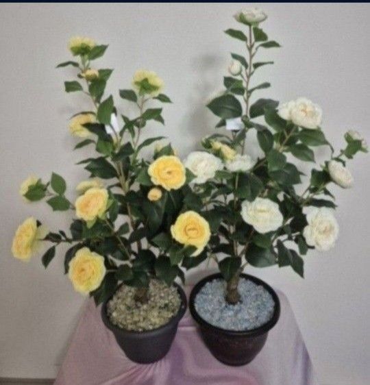 * NEW LOW PRICE * 3ft Faux Yellow & White Camellia Trees Topped with Citrine / Clear Stones in 9in Resin Planters @ Lasting Creations