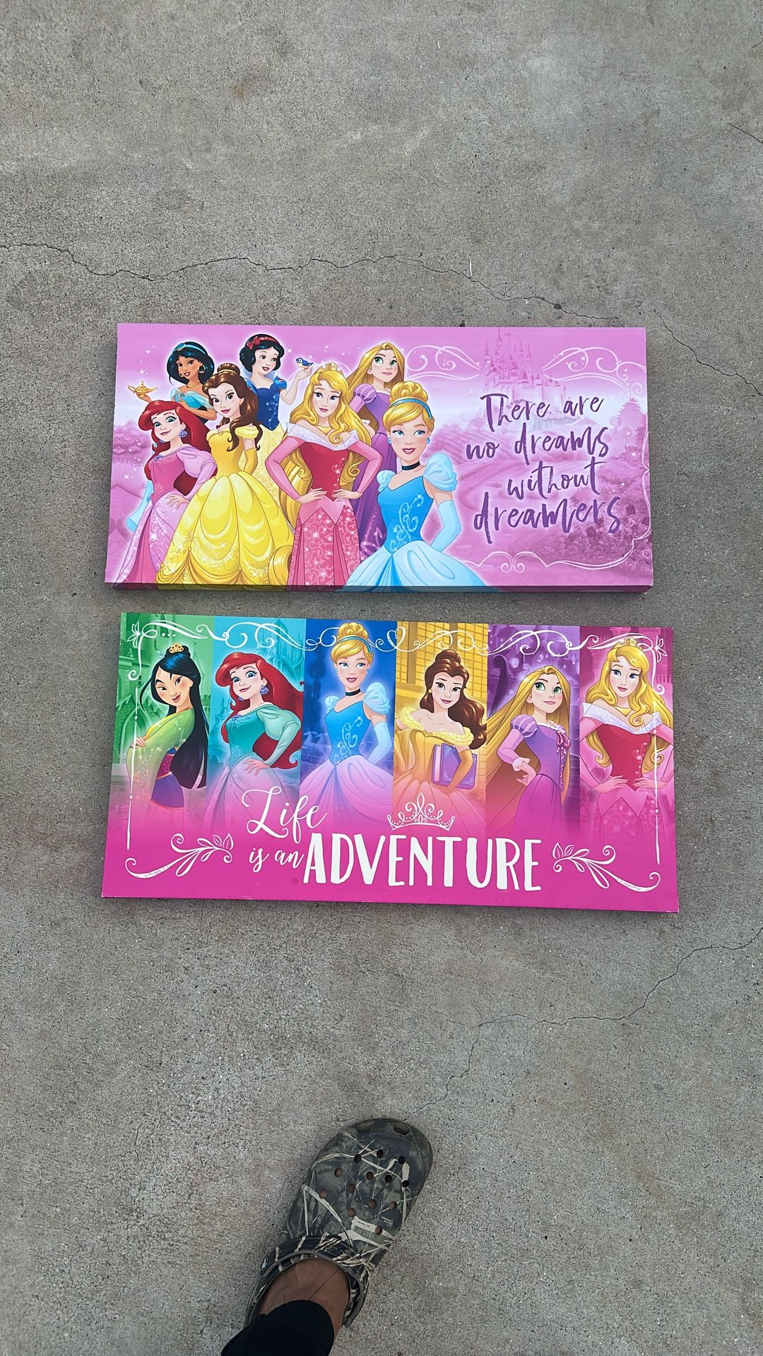 Disney Princess Picture Frames