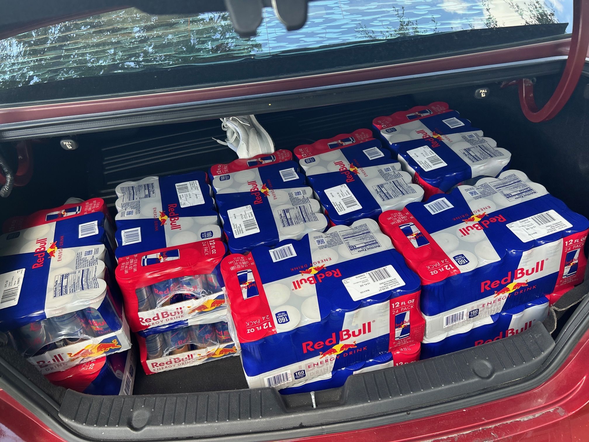 RED BULL CASES