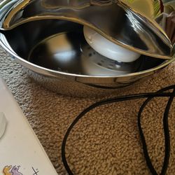 Used 60-oz Pet Stainless Steel Raindrop Water Fountain & 2 Unopened Filters