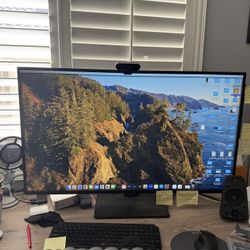 LG 43” UltraFine 4K IPS Monitor – $350 – MINT Condition