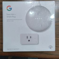 Nest Mini Smart Plug 