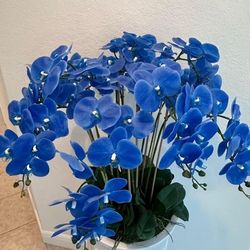 El Dorado Flowers Arrangements 