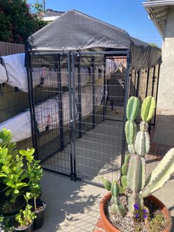 Lucky Dog Kennel