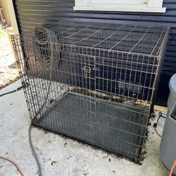 Dog Cage For Giant Dogs 
