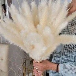 Tabletop Pampas Grass - Bleach White