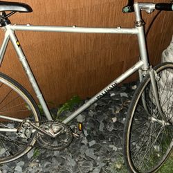 Fuji Roadie