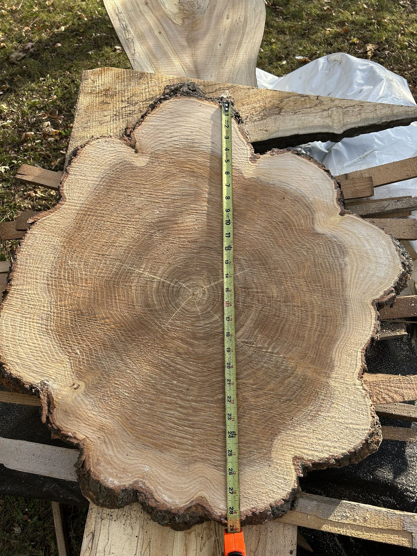 Honey Locust Slab Cookies