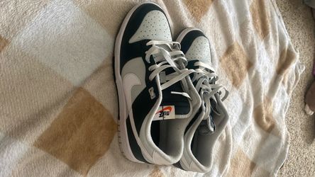 Nike dunks size 8