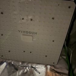 Vivosun 100watt