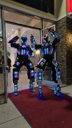 LED ROBOT SHOW