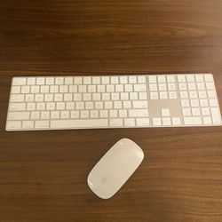 New Apple wireless Magic Keyboard with Magic Bluetooth Mouse