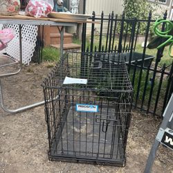 Small Animal Dog Create 