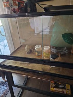 Reptile Case
